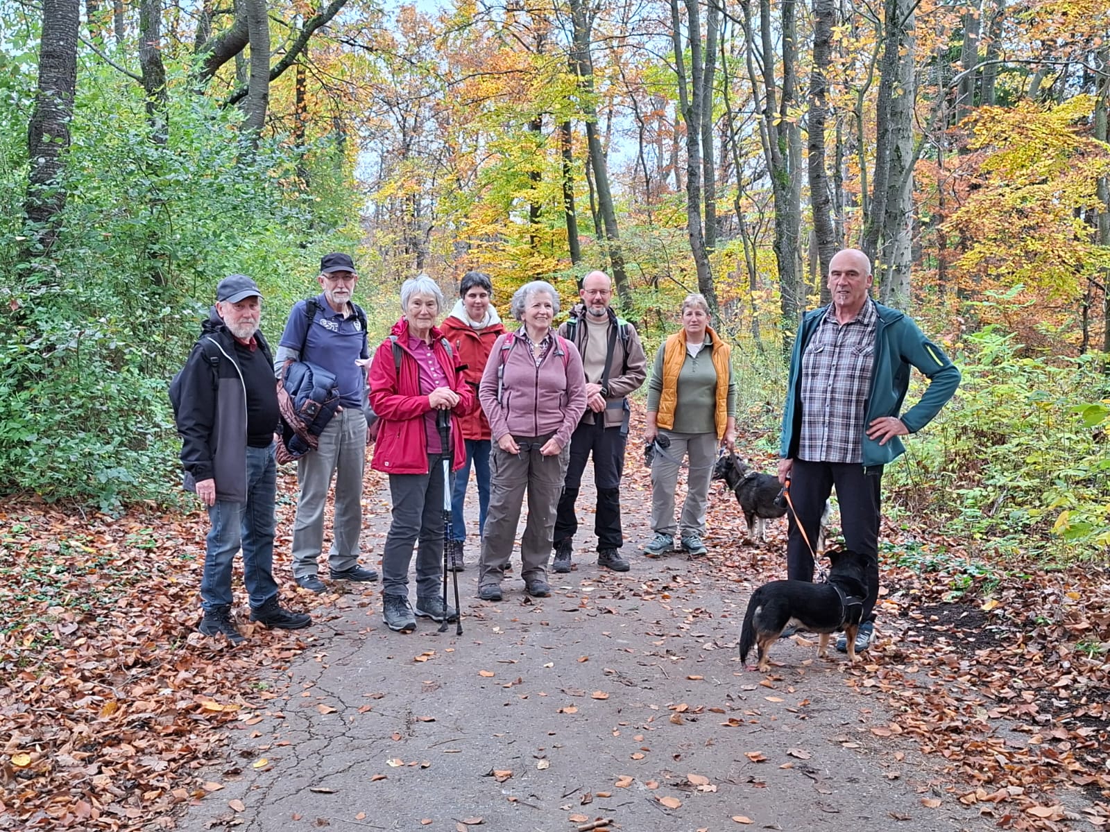 Weideabtrieb des Bauernhofs Nittel