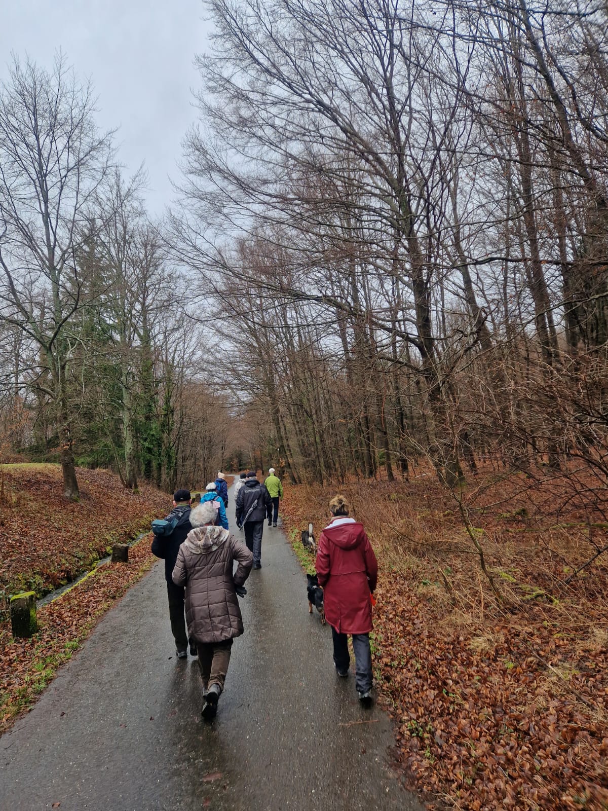 Rundwanderung um Pfaffenrot